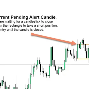 Market Reversal Alerts 1