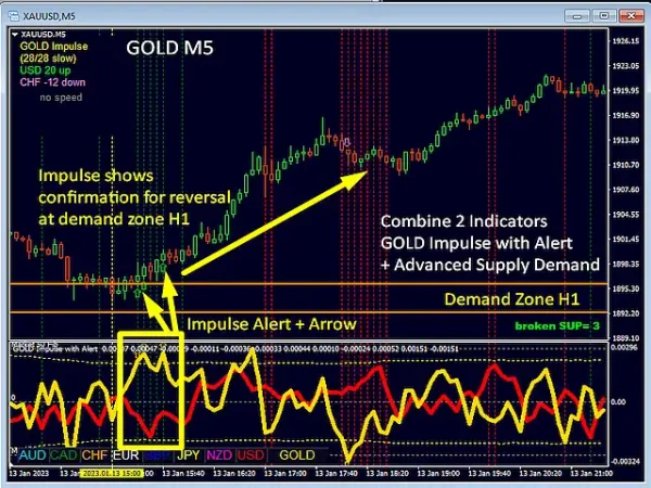 GOLD Impulse with Alert 10