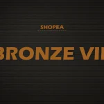 Bronze VIP 1