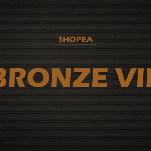 Bronze VIP 1