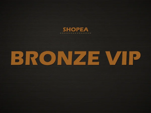 Bronze VIP 1