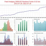 Panda Hedging MT4-Review-5