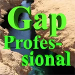 gap-professional-logo