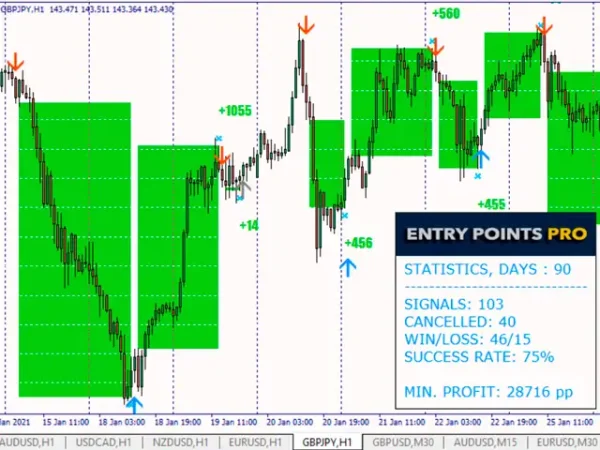 Entry Points Pro Indicator MT4-Preview-1